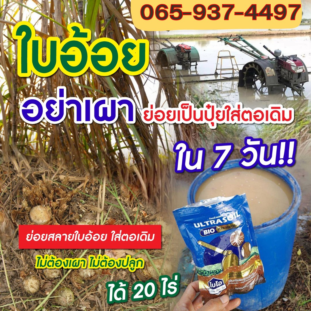 จุลินทรีย์ไบโอ ไฮโกร จอบทองของแท้100%เพจหลัก Facebook ad