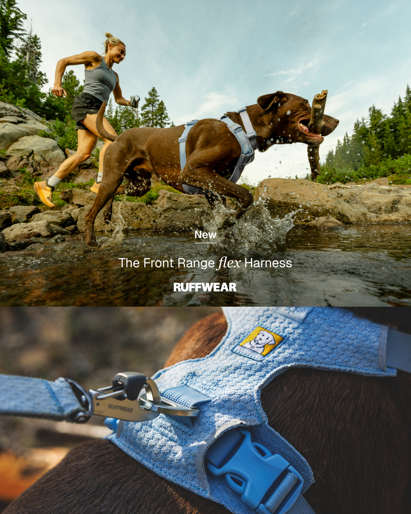Ruffwear Facebook ad