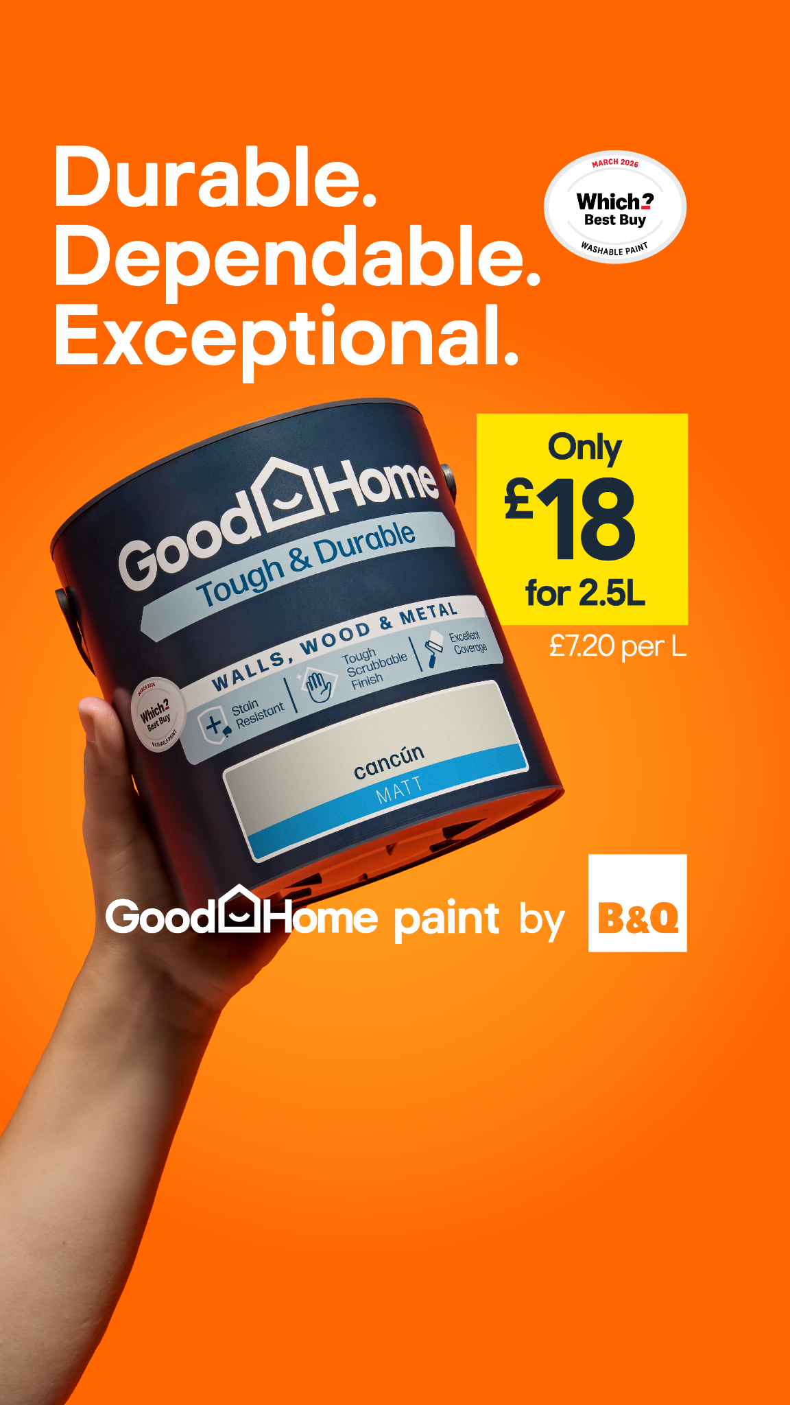 B&Q Facebook ad