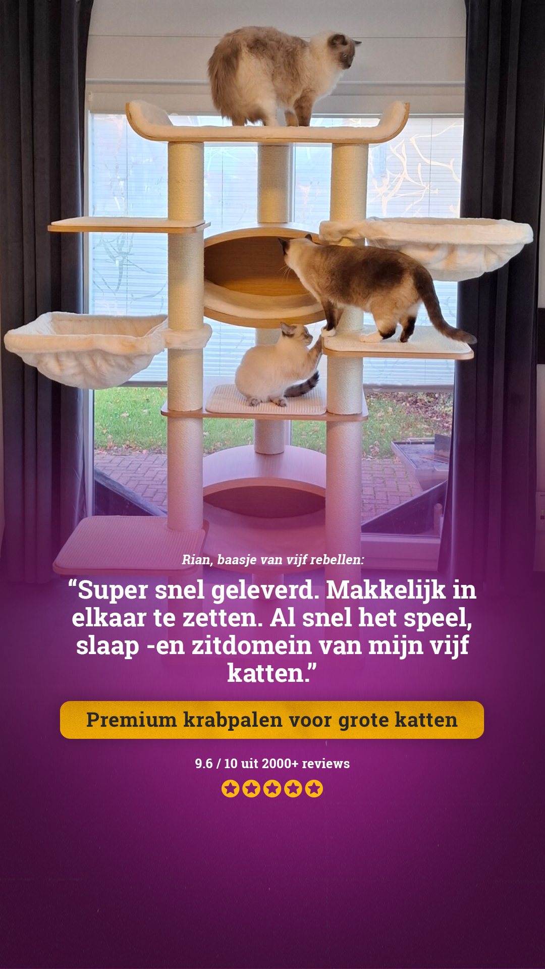 petrebels.com Facebook ad