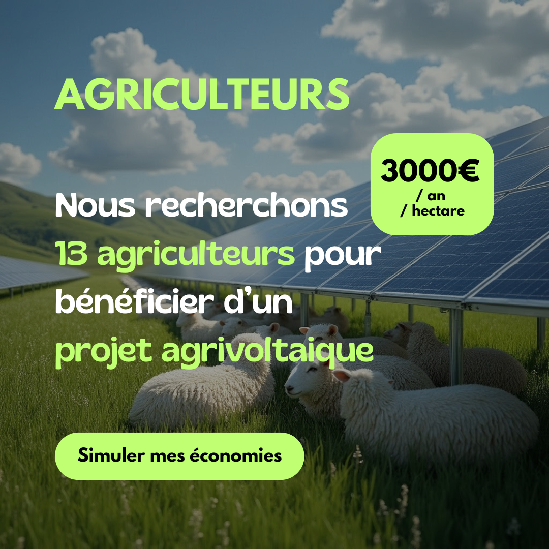 Digitalsun ENR  Facebook ad