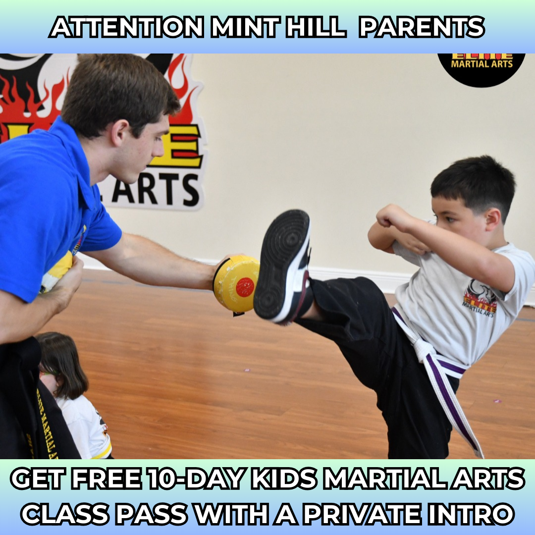 Elite Martial Arts Facebook ad: 10-Day Kids Martial Arts Pass (with 1 Private Lesson), FREE!