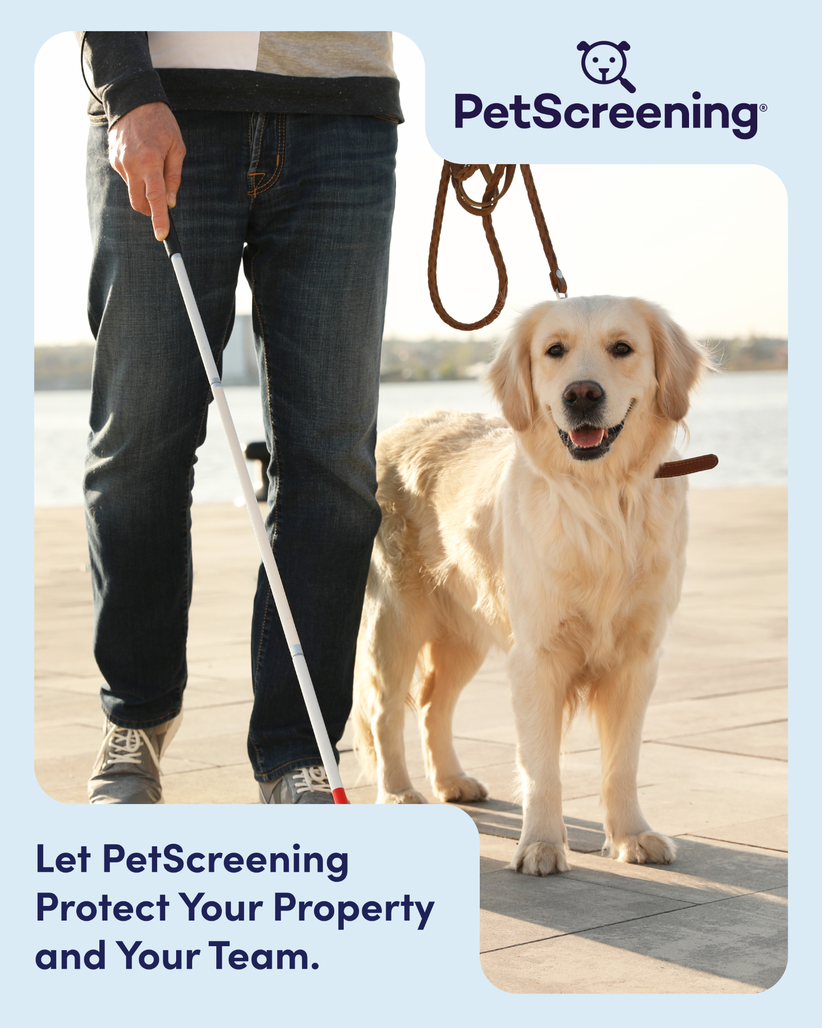 PetScreening Facebook ad