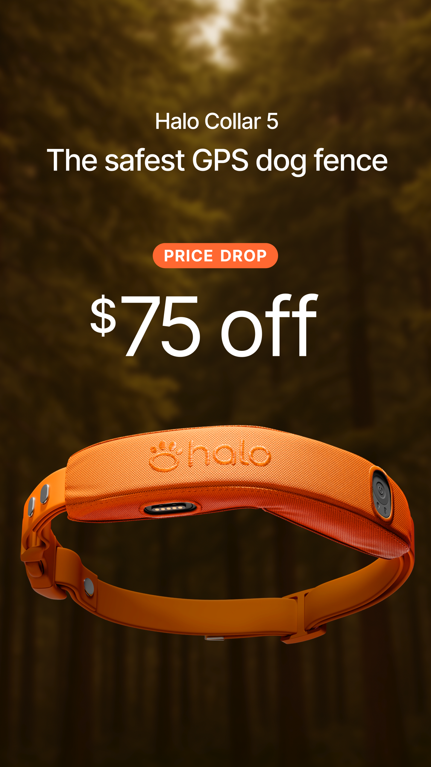 Halo Collar Facebook ad
