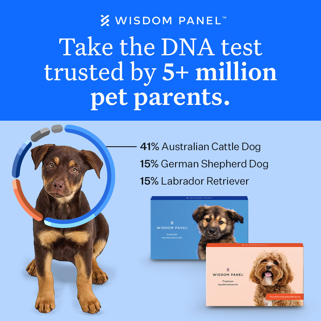 Wisdom Panel Facebook ad