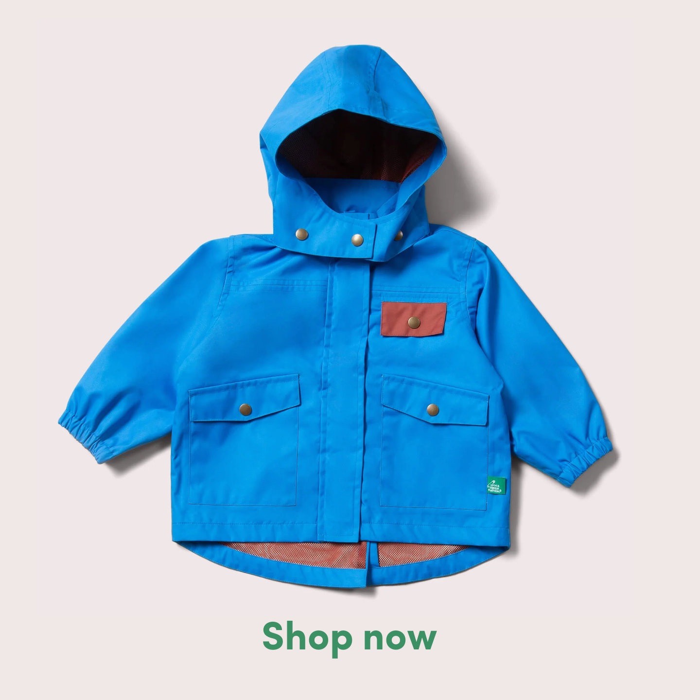 Little Green Radicals Facebook ad: New Term - New Adventures