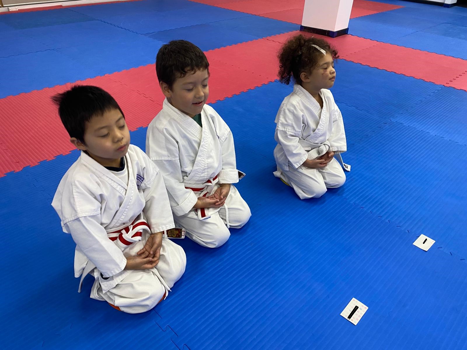 Australian Karate Academy, Sydney Facebook ad