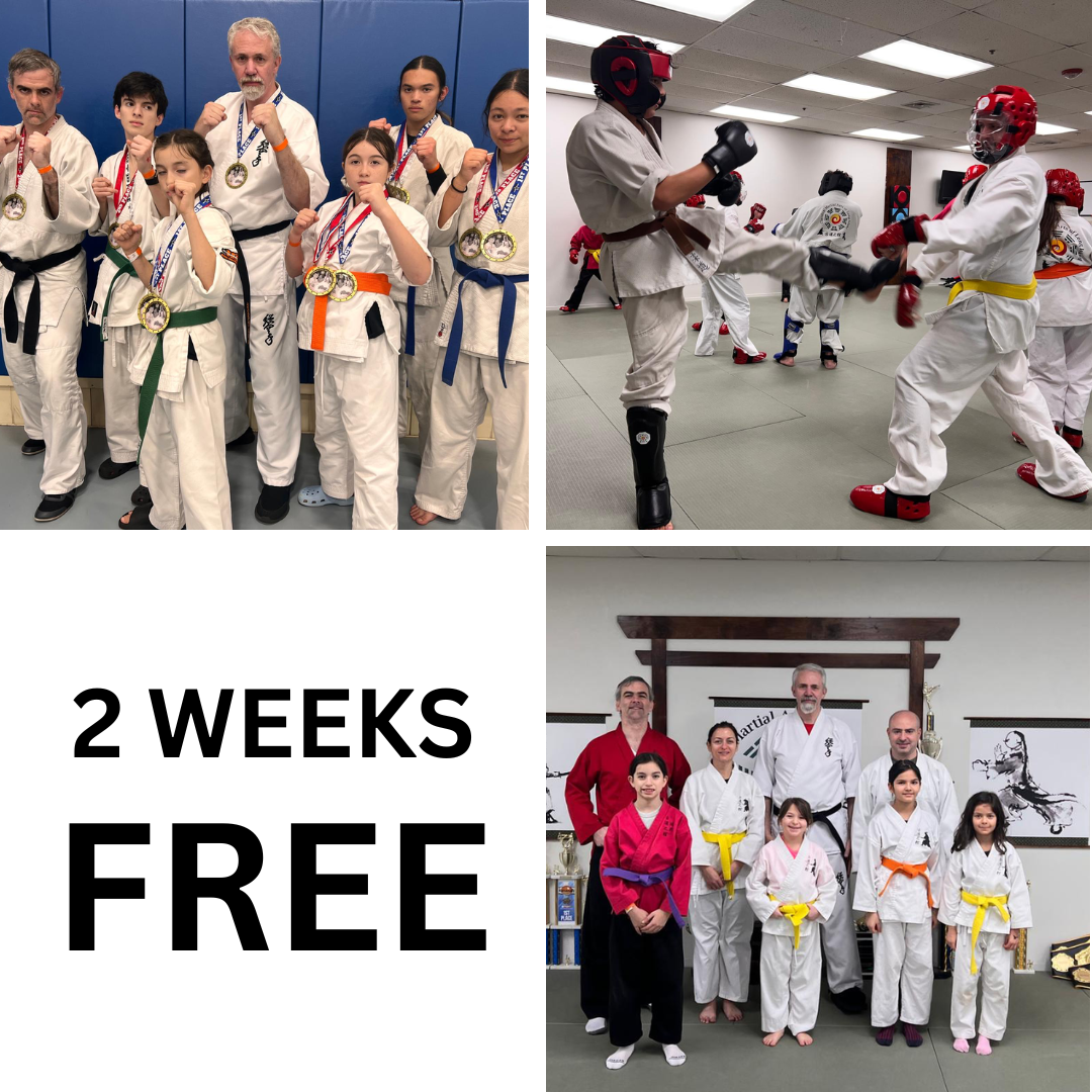 Classical Martial Arts of Long Island Facebook ad