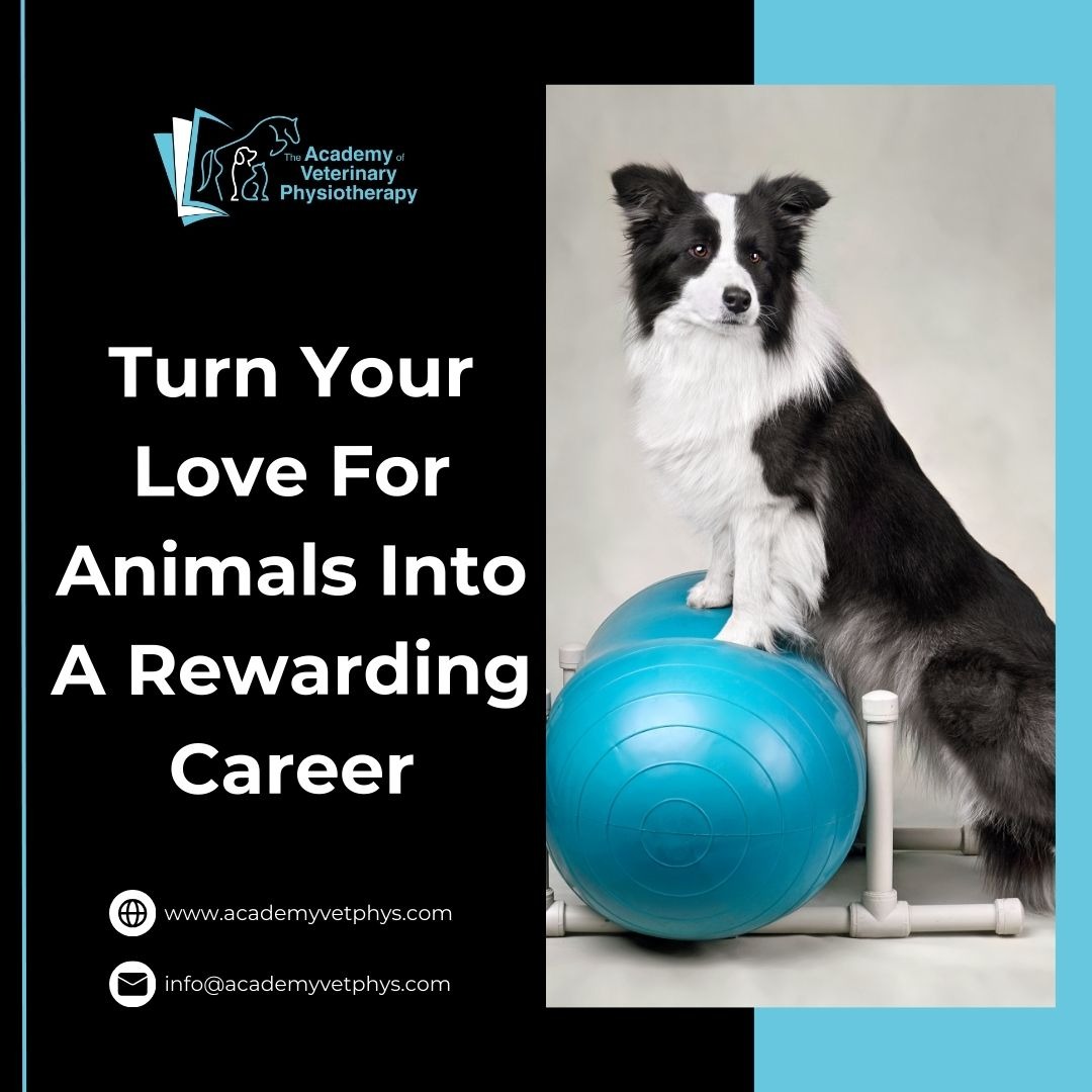 The Academy Of Veterinary Physiotherapy Facebook ad