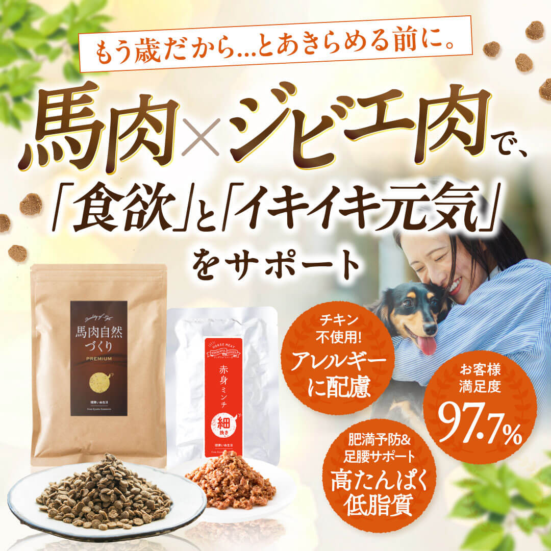 健康いぬ生活 Facebook ad