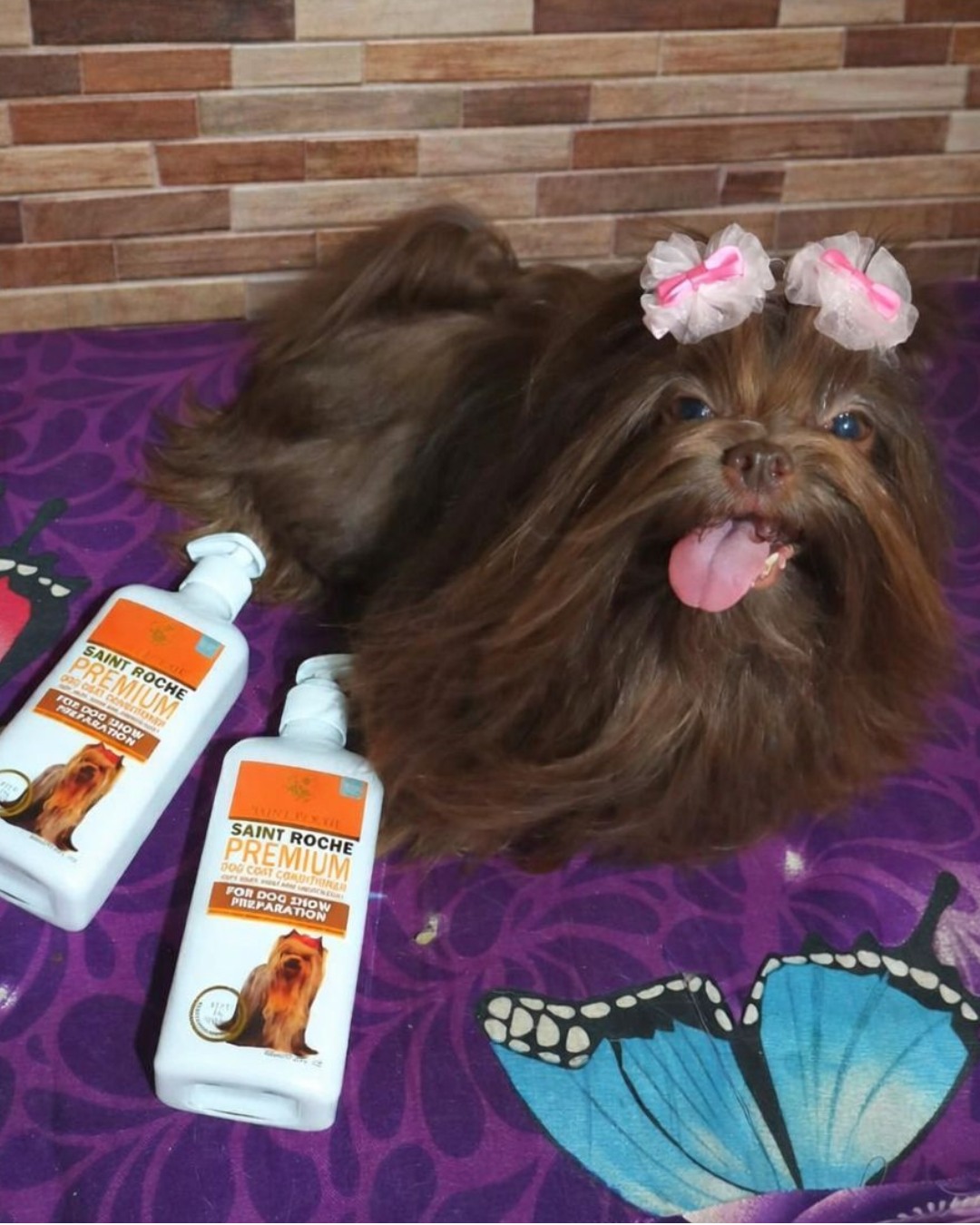 Saint Roche Premium Dog Shampoo Facebook ad