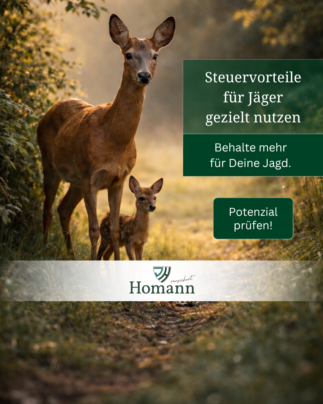 Homann Versichert Facebook ad