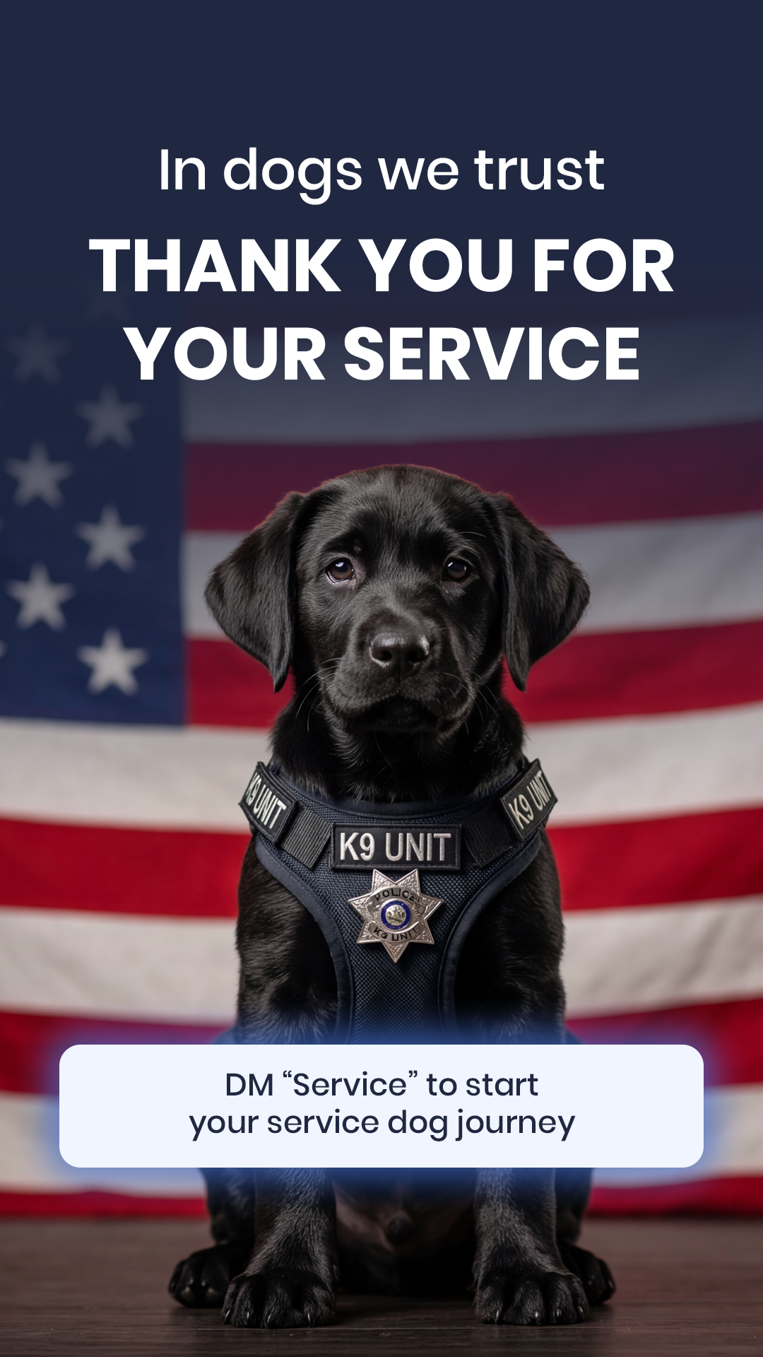 Puppy Training USA Facebook ad from Mar 27, 2026