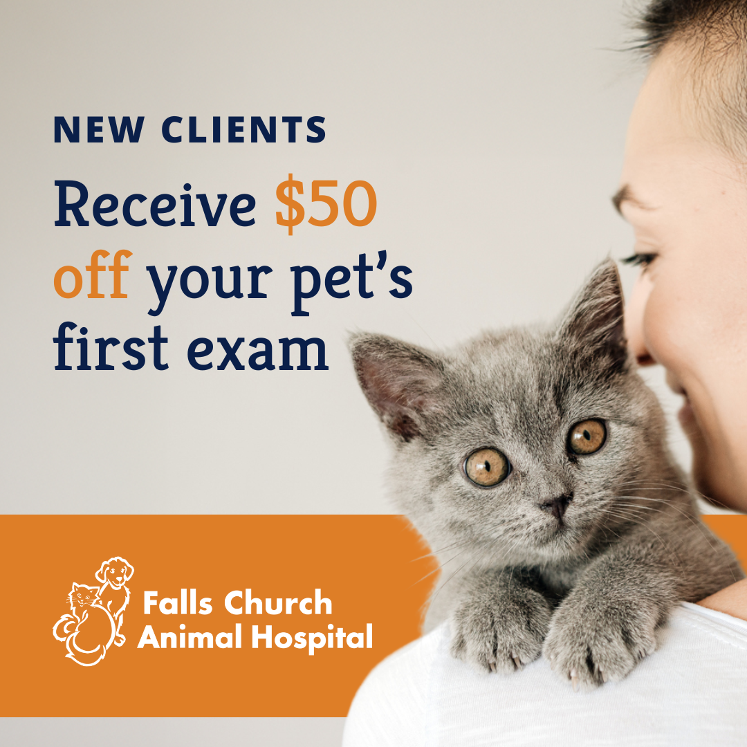 Falls Church Animal Hospital Facebook ad: $50 Off for New Clients
