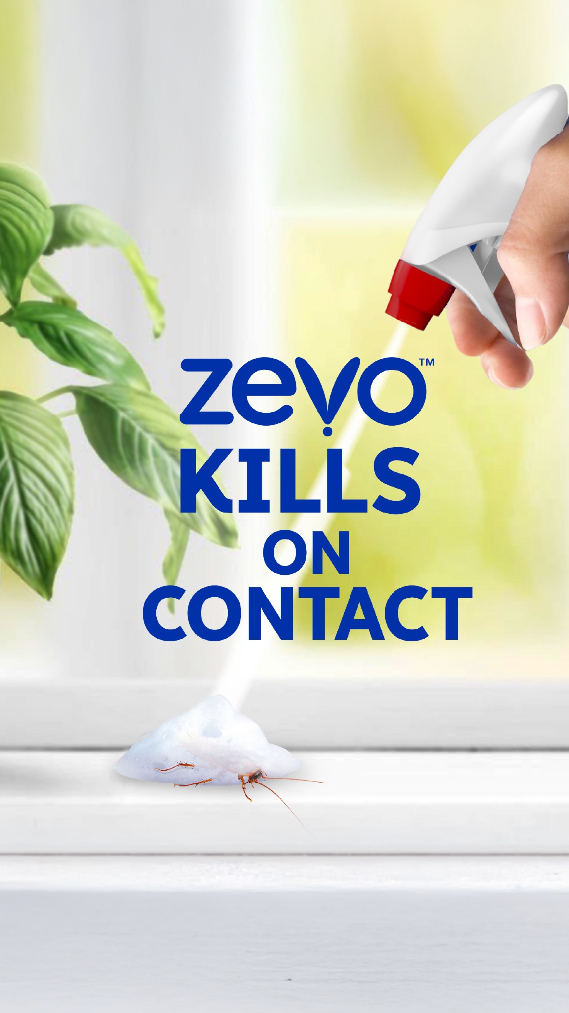 Zevo Facebook ad from May 14, 2026