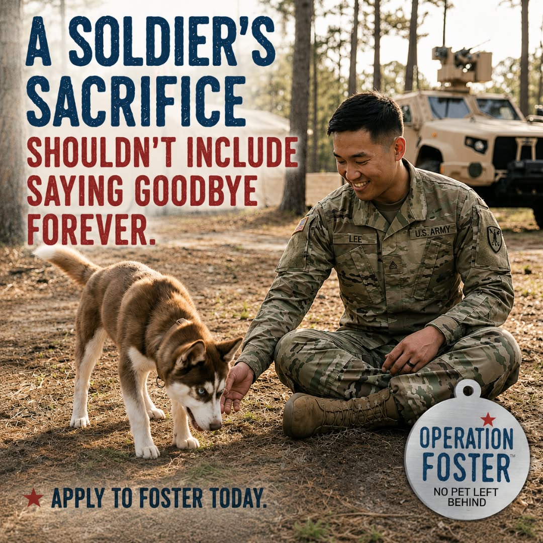 Operation Foster Facebook ad: Become a Foster Today