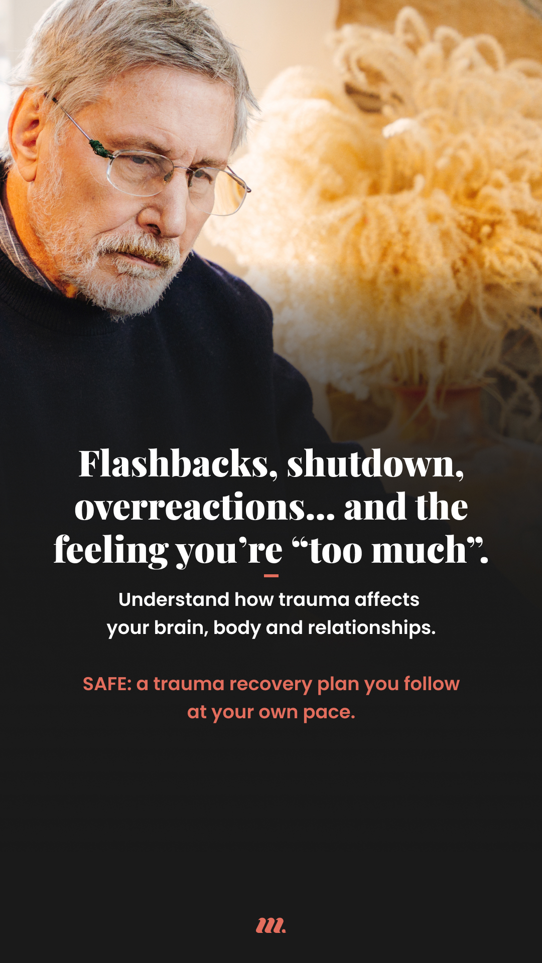 MentorShow World Facebook ad