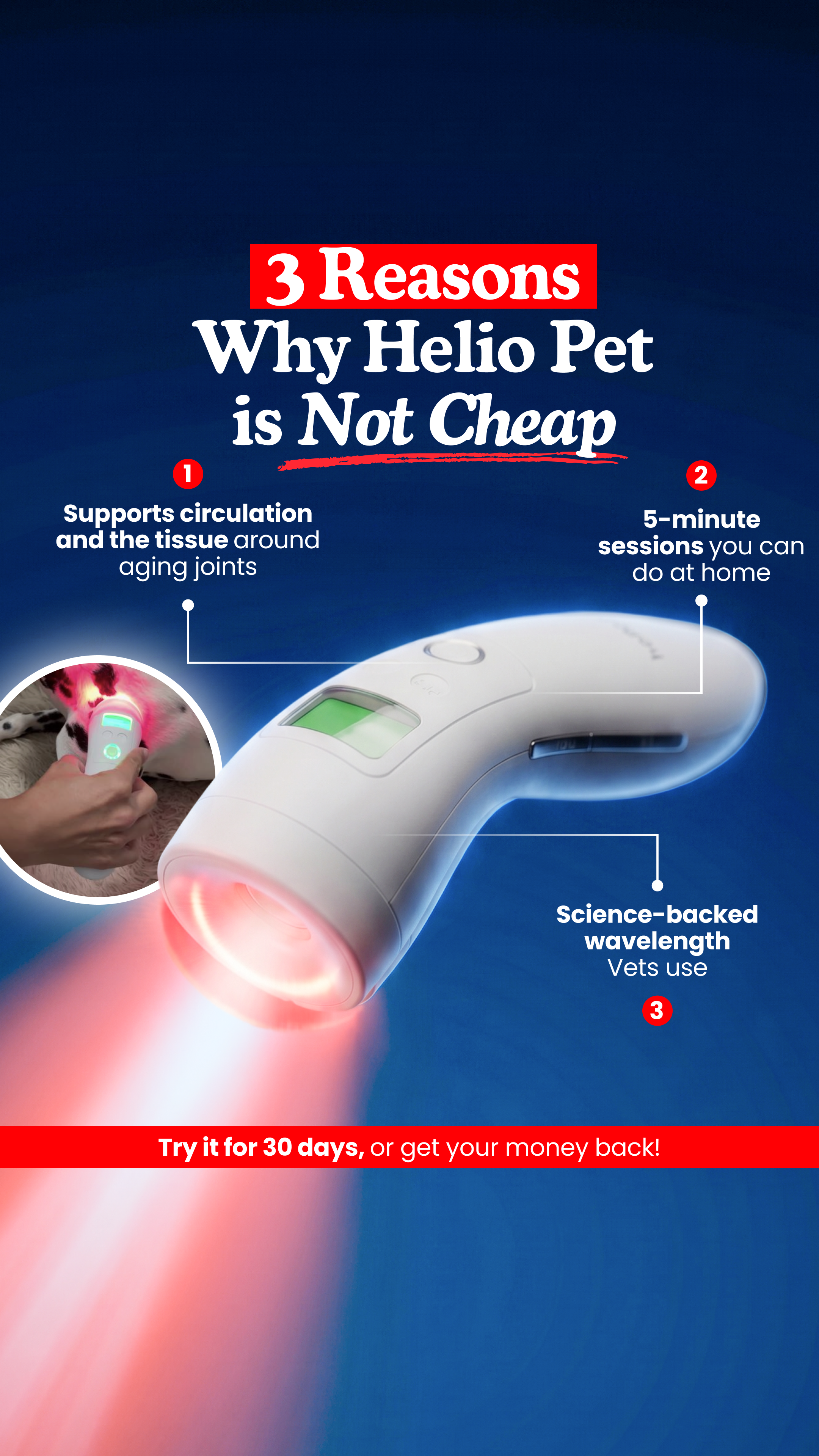 Helio Pet Facebook ad