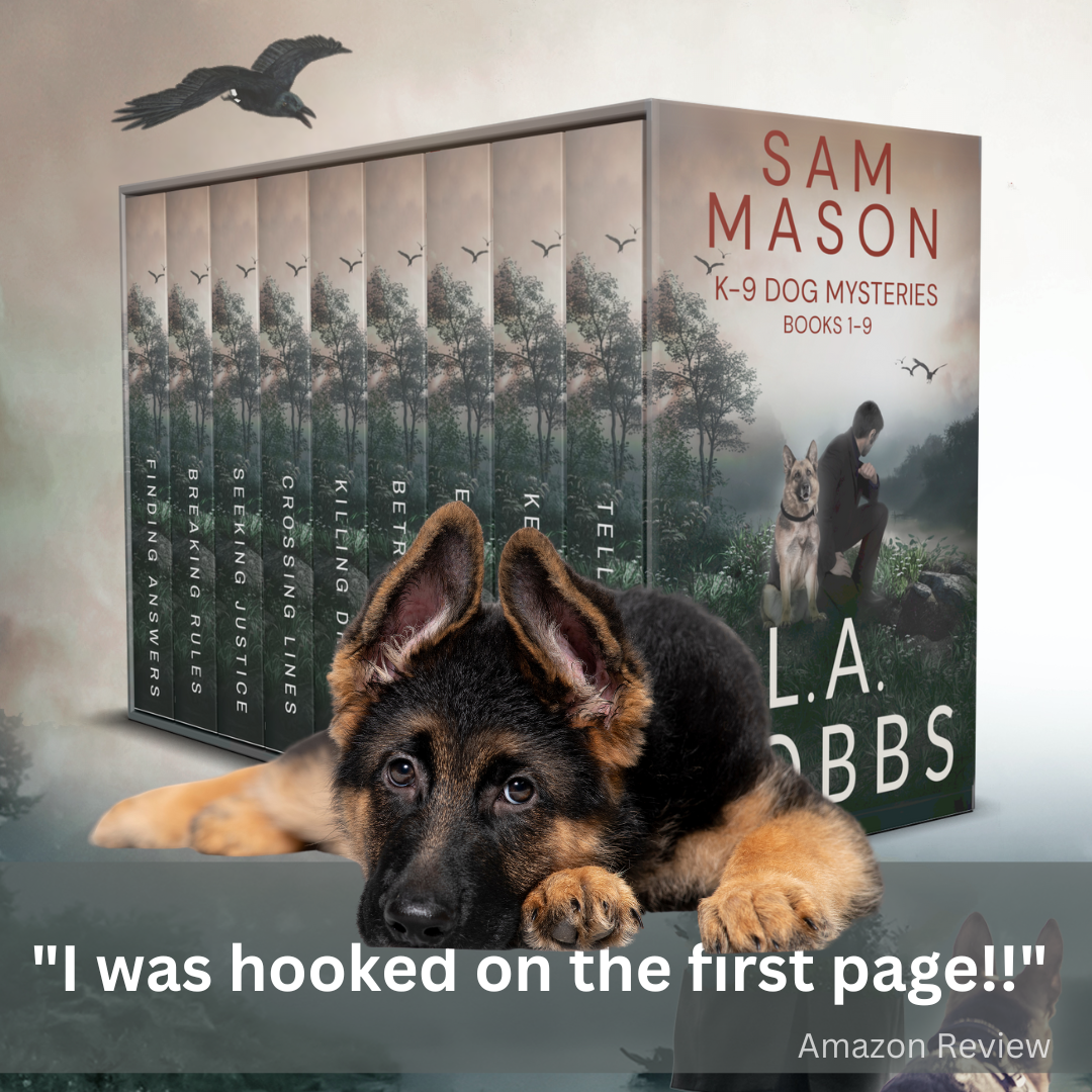 Sam Mason Mysteries Facebook ad: BINGE the whole SERIES!