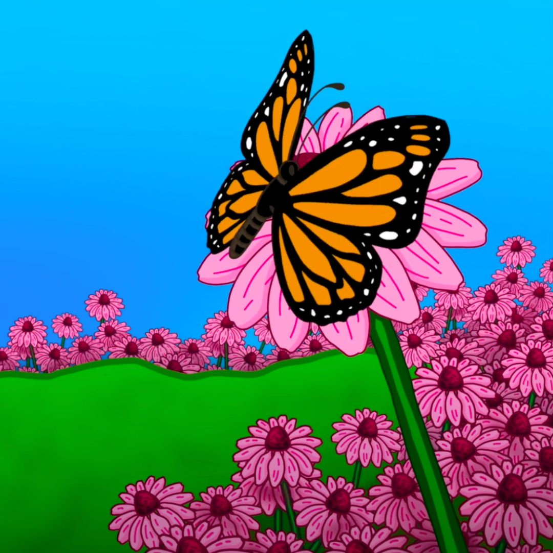 Plant A Seed Foundation Facebook ad from Oct 15, 2024