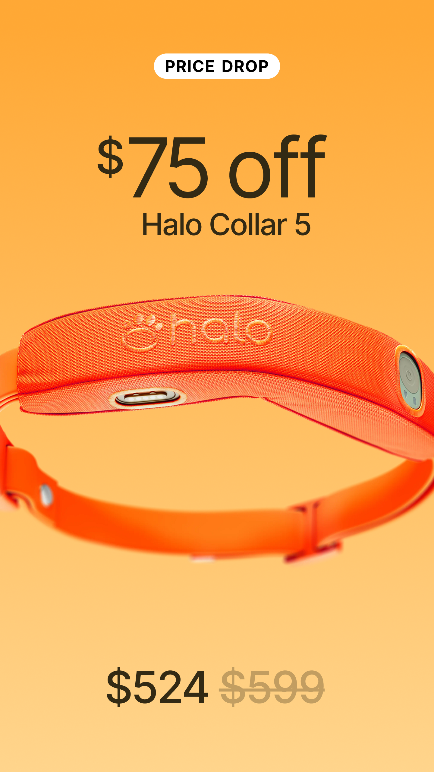 Halo Collar Facebook ad