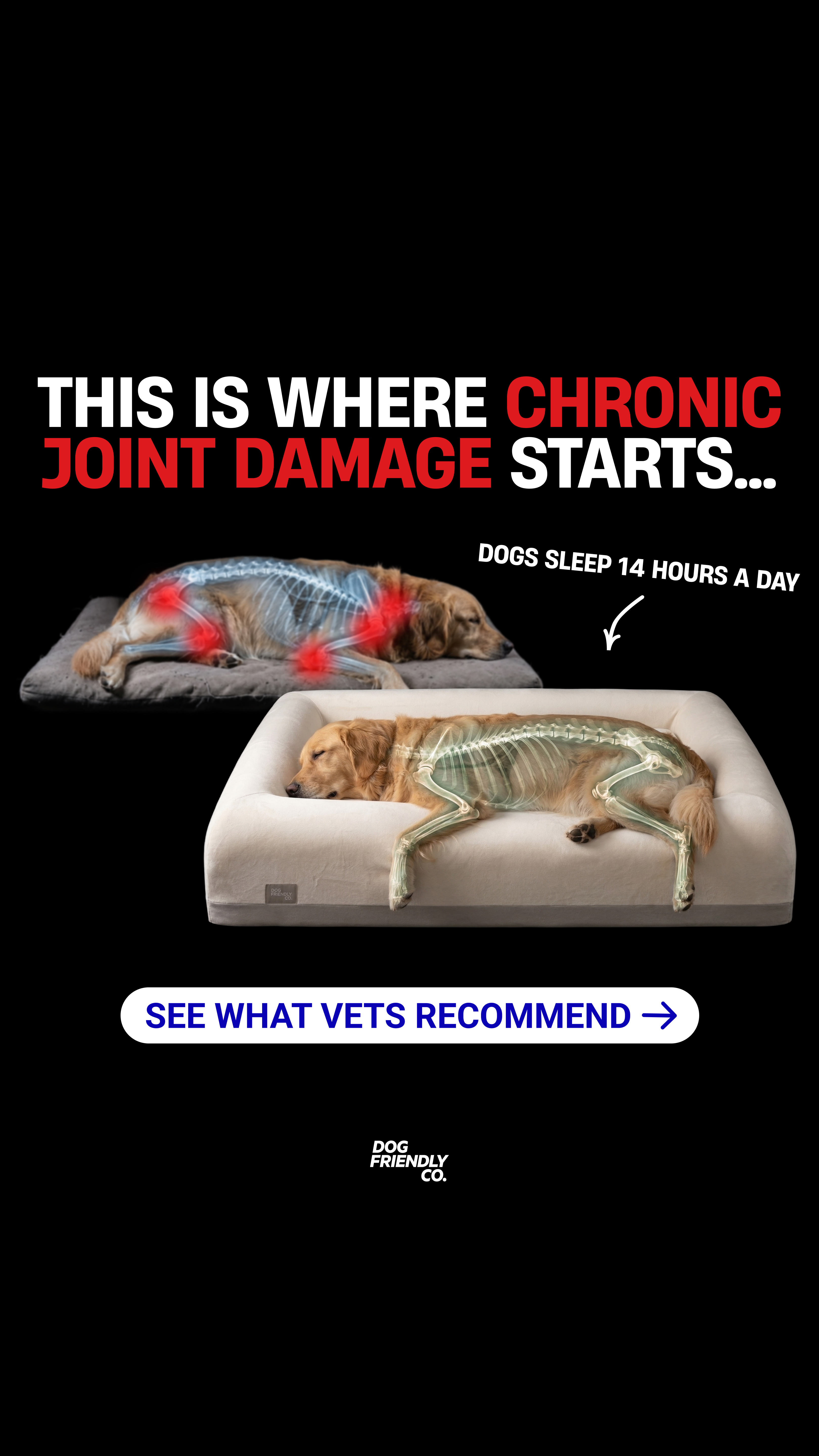Dog Friendly Co. Facebook ad