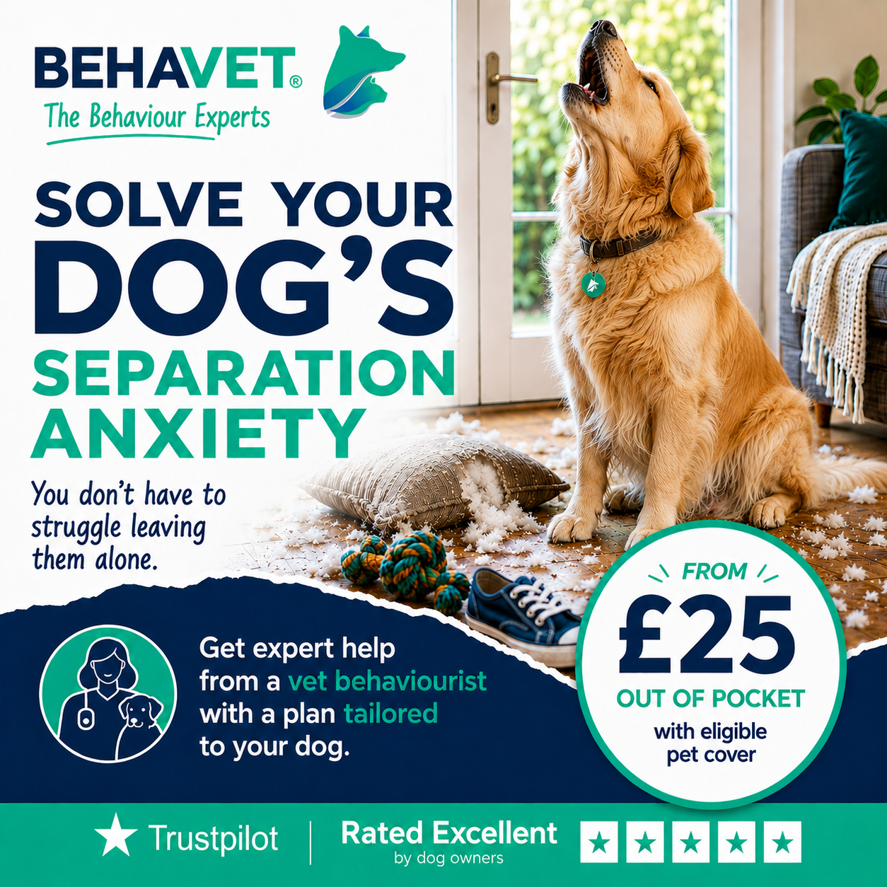 Behavet: The Pet Behaviour Experts Facebook ad
