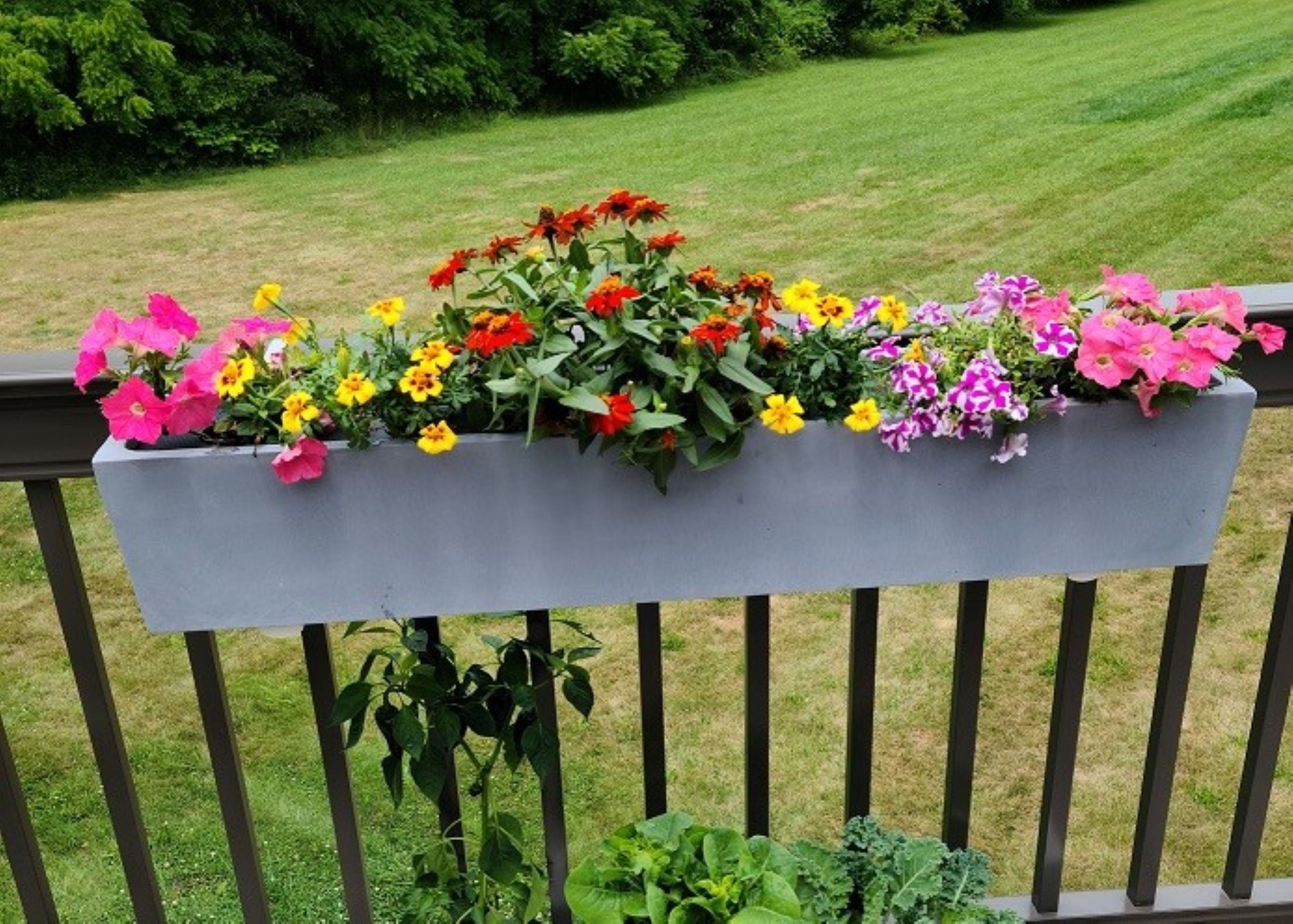 Go Grow Planters Facebook ad