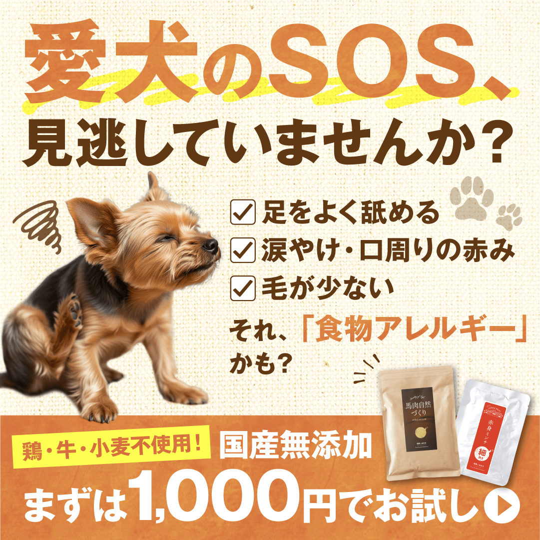 健康いぬ生活 Facebook ad