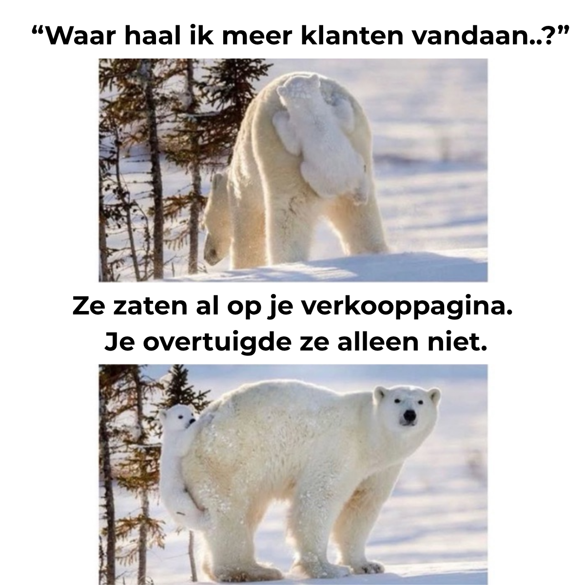 Eelco de Boer Facebook ad from Sep 23, 2026