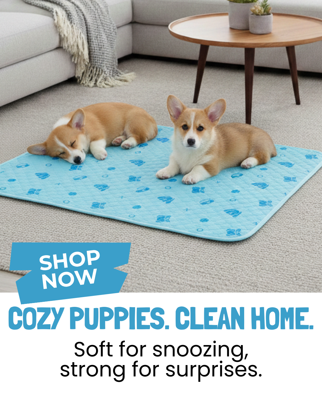 Potty Buddy Facebook ad