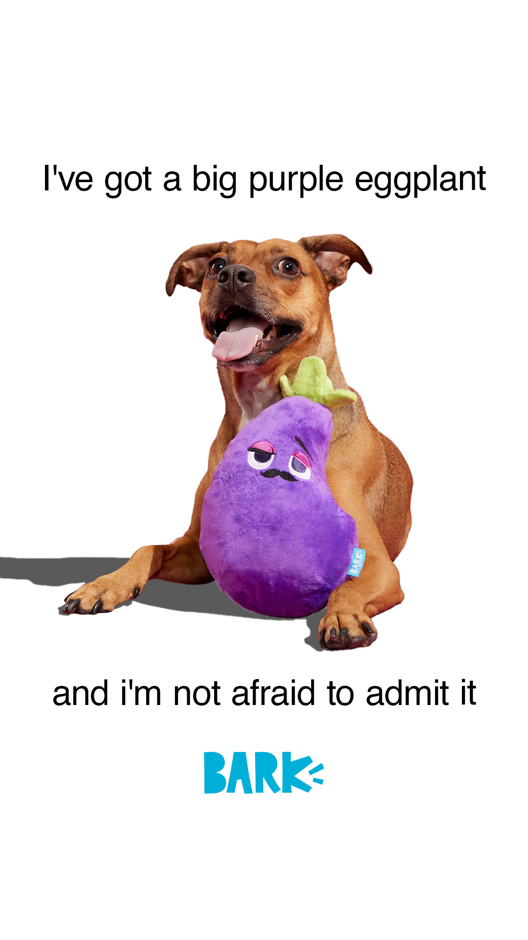 BarkBox Facebook ad