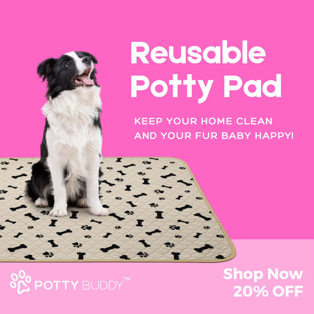 Potty Buddy Facebook ad