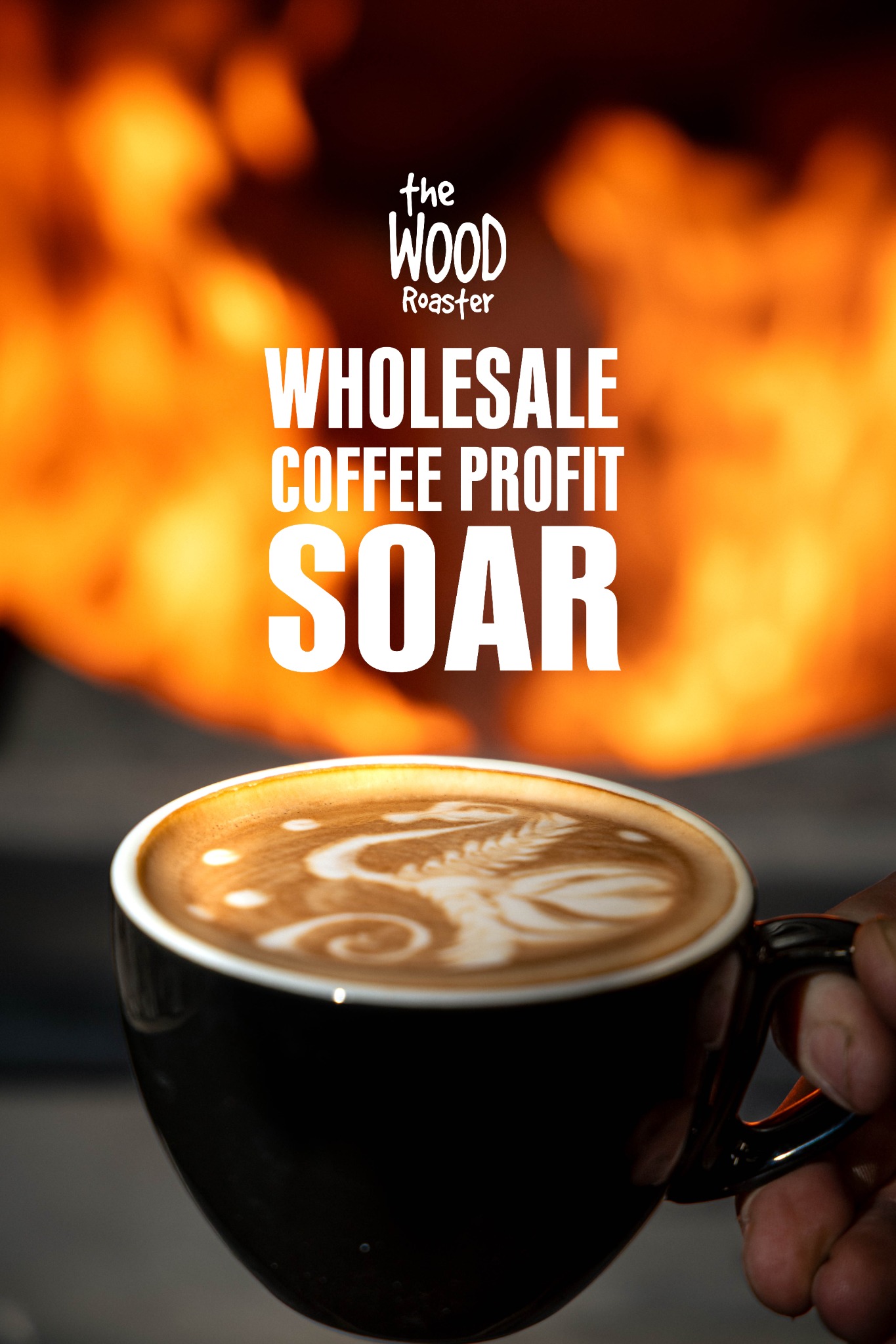 The Wood Roaster Facebook ad