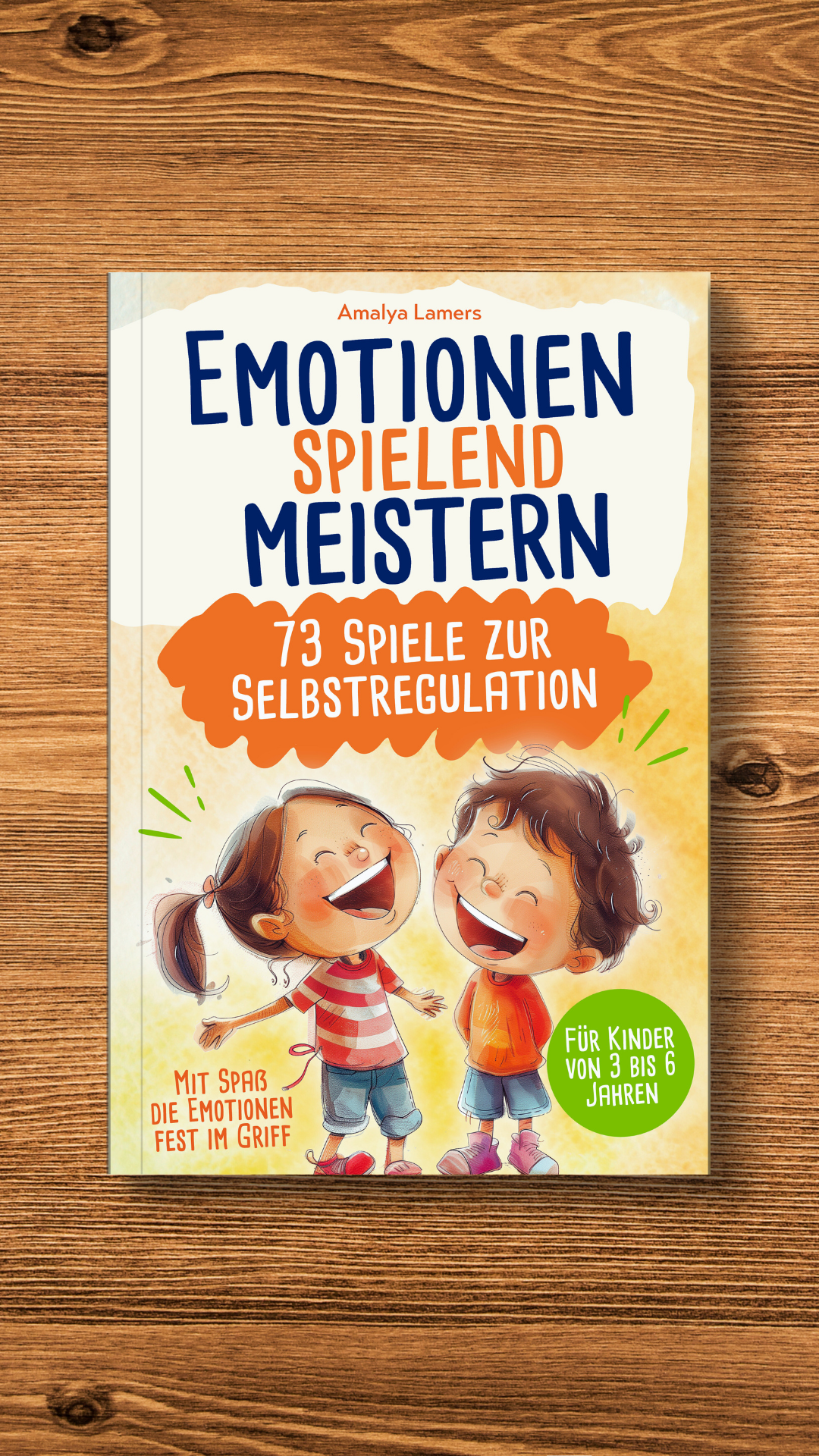 Publify Verlag Facebook ad from Nov 30, 2024