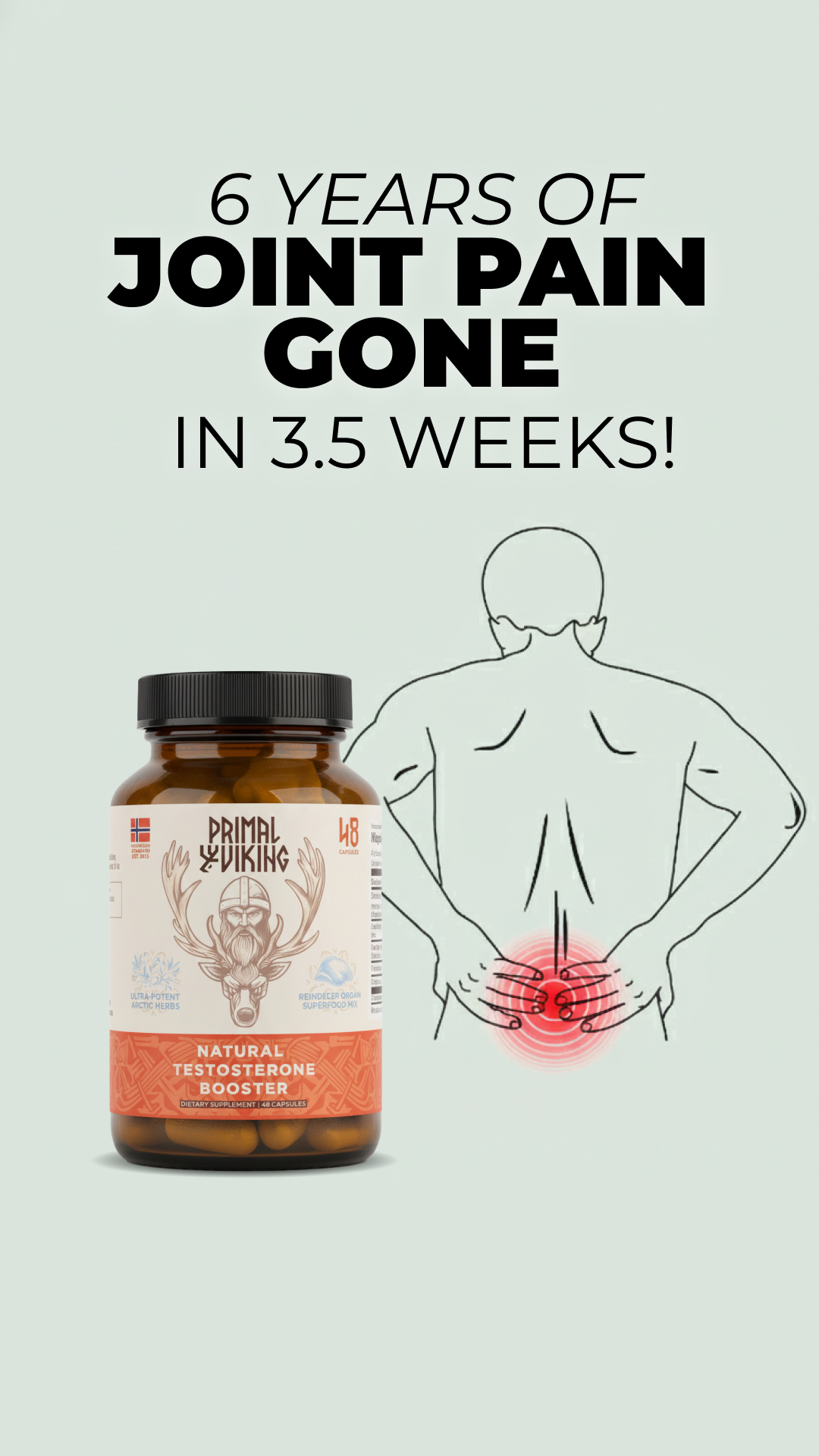 Primal Viking Facebook ad