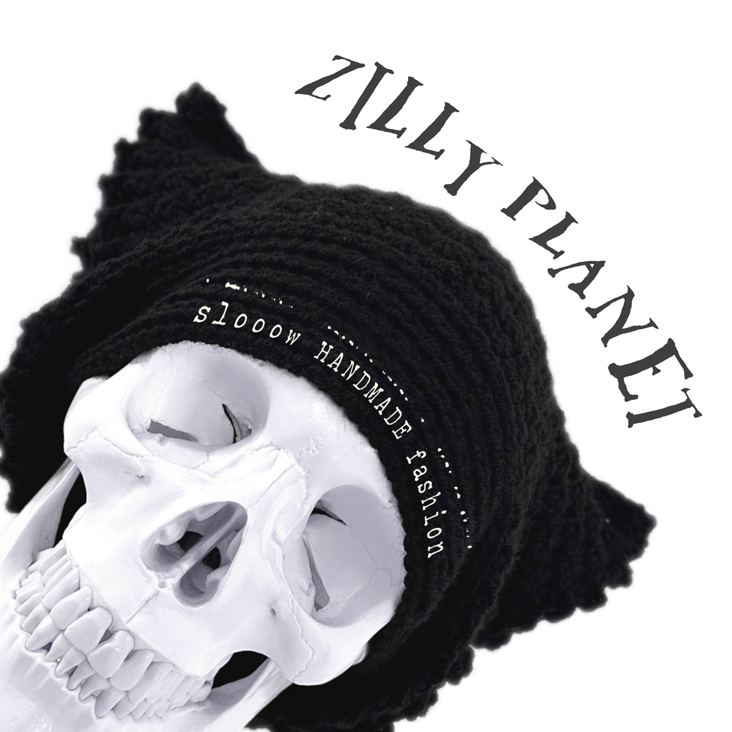 Zilly Planet Facebook ad