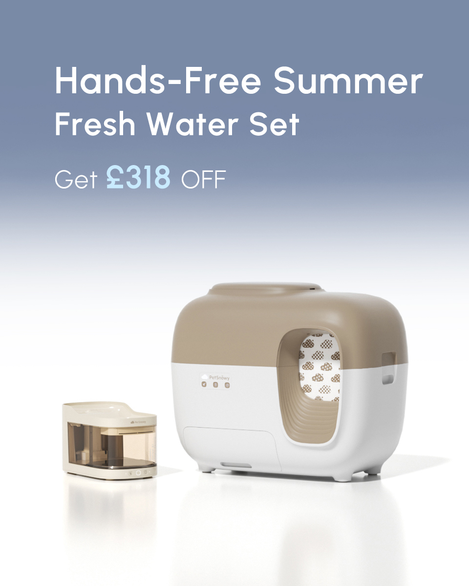 PetSnowy Facebook ad