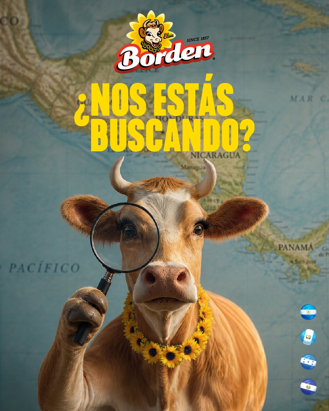 Borden Latam Facebook ad: ¡Atención Centroamérica!