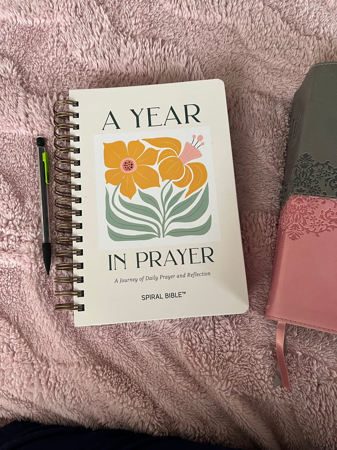Spiral Bible Facebook ad