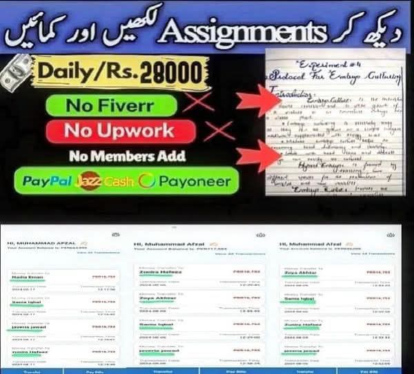 BEST Assignment work Facebook ad from May 8, 2026