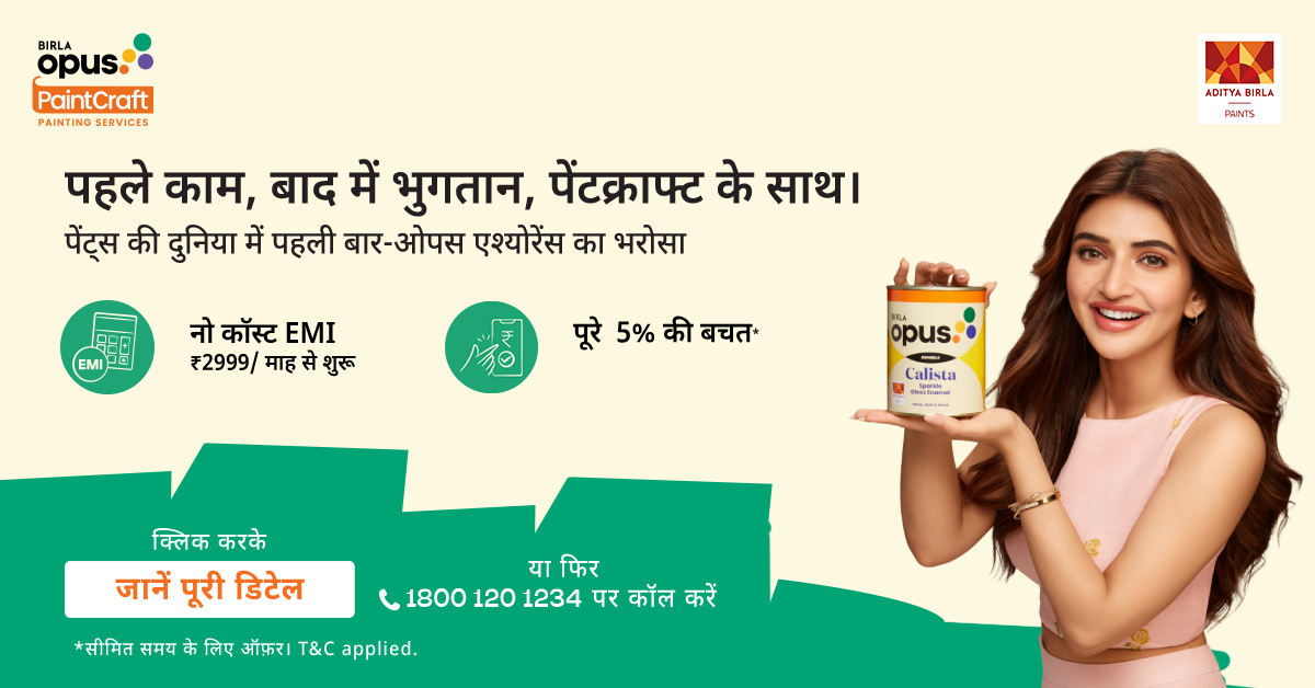 Birla Opus PaintCraft Facebook ad from Aug 18, 2026