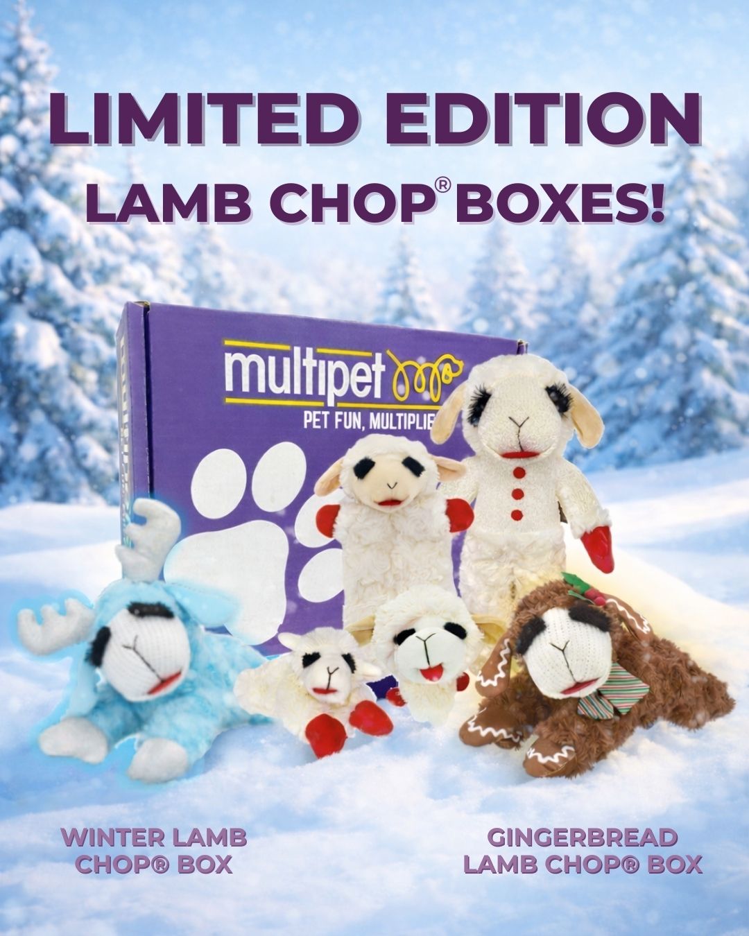 Multipet International, Inc. Facebook ad: LAMB CHOP BOX - WINTER | Multipet