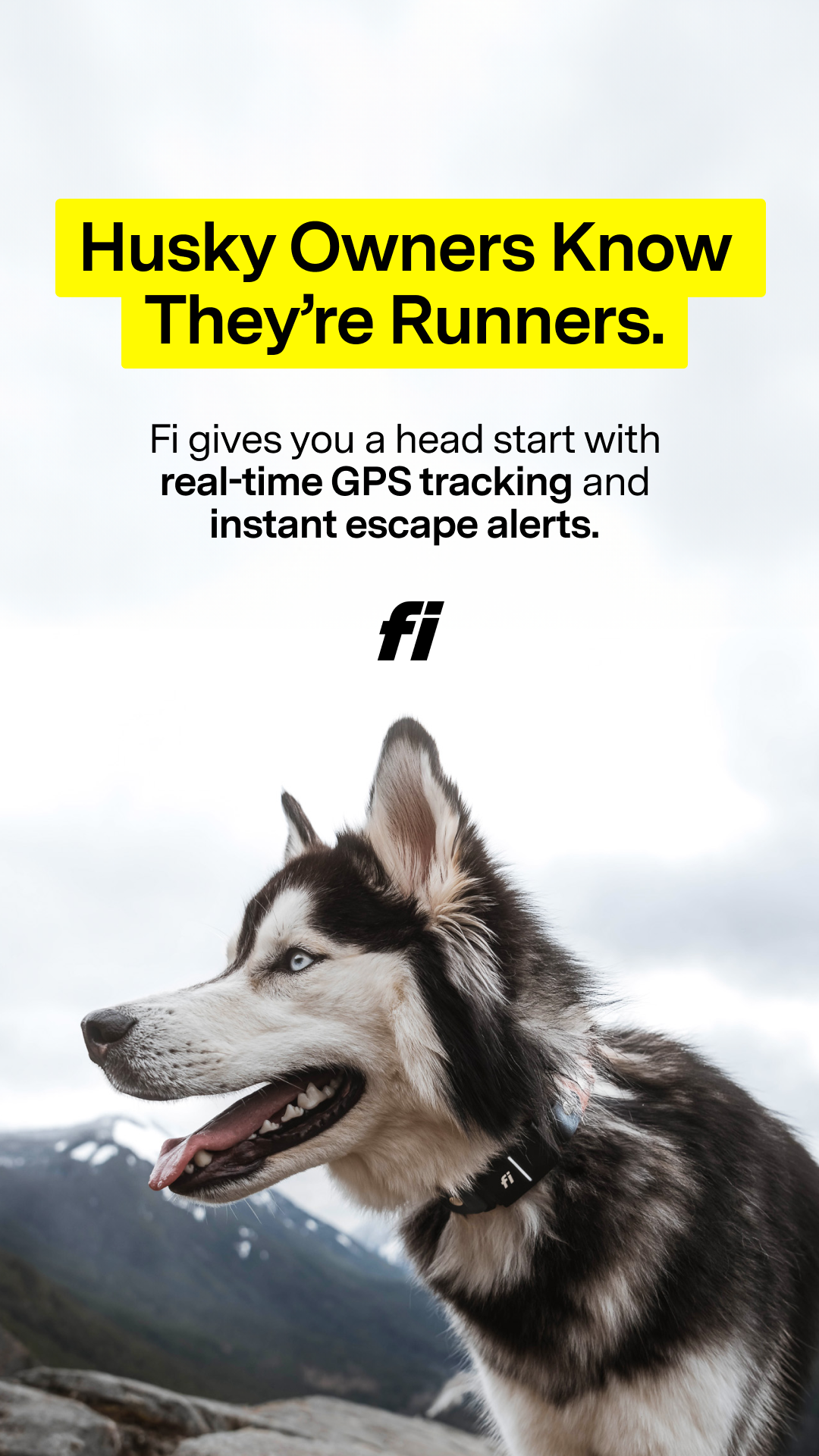 Fi Facebook ad