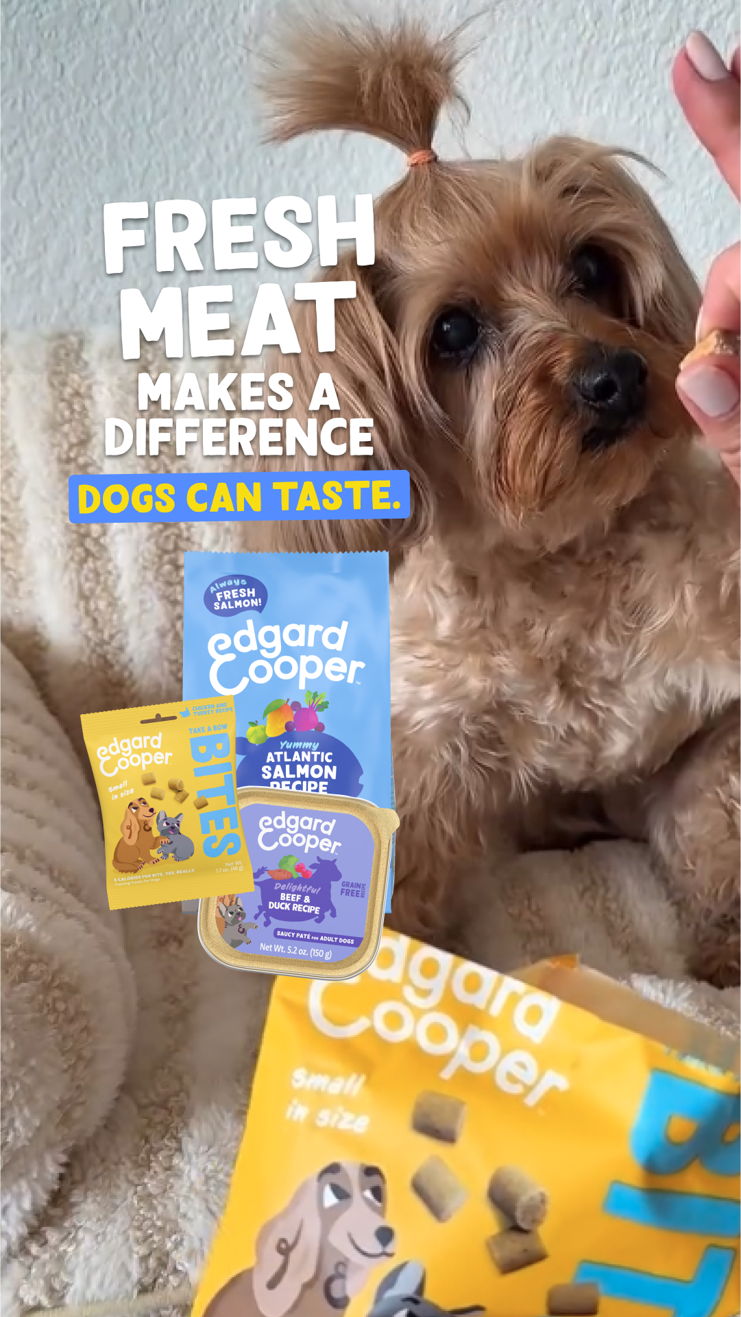 Edgard & Cooper Facebook ad from Feb 5, 2026