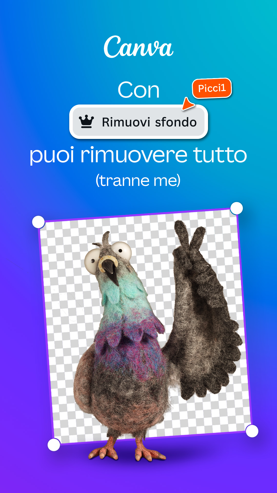 Canva Facebook ad