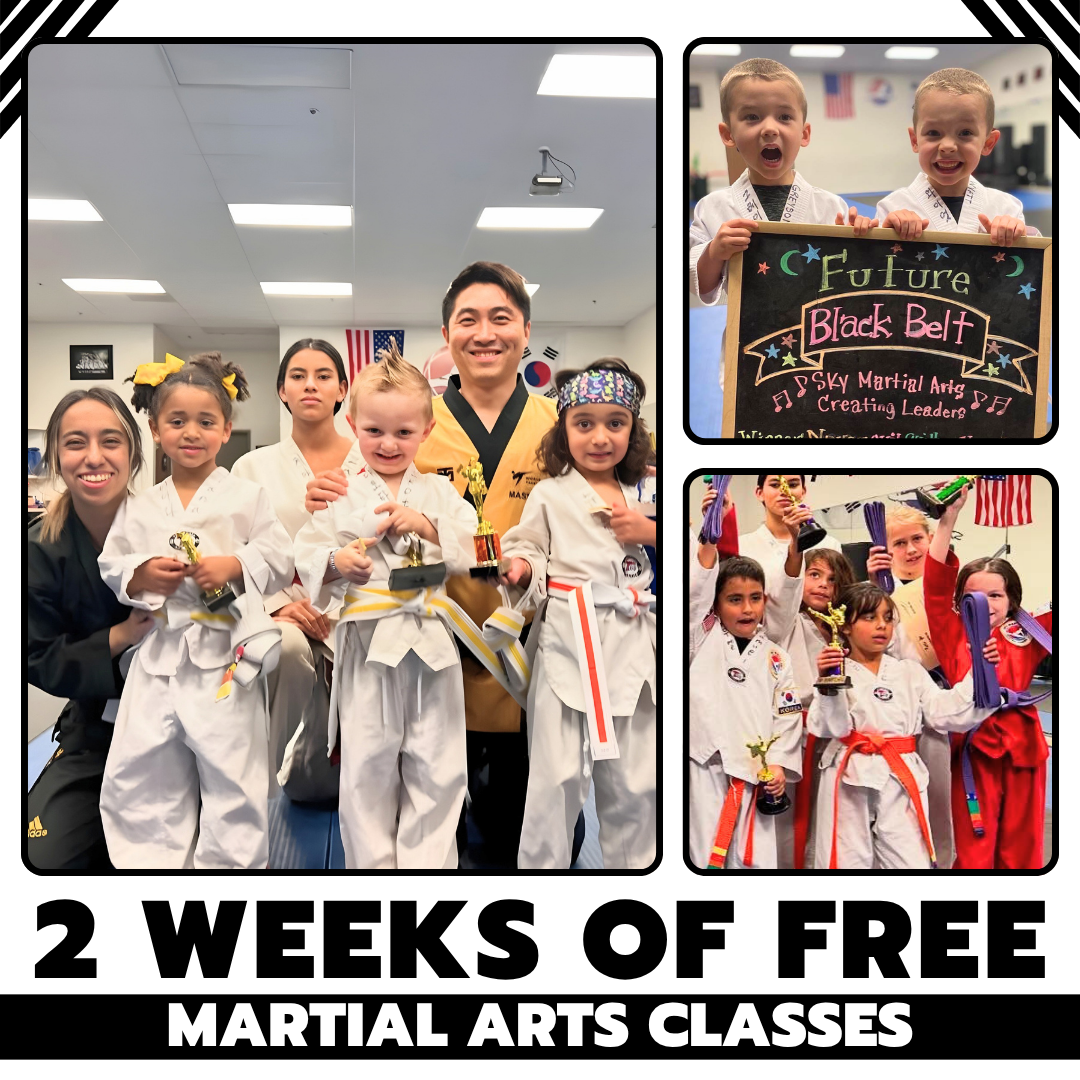 SKY Martial Arts - Wildomar Facebook ad: TWO WEEKS OF FREE MARTIAL ARTS CLASSES