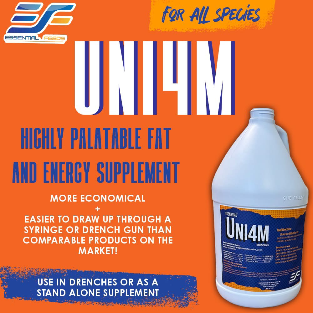 Essential Feeds Facebook ad: UNI4M, Essential Feeds