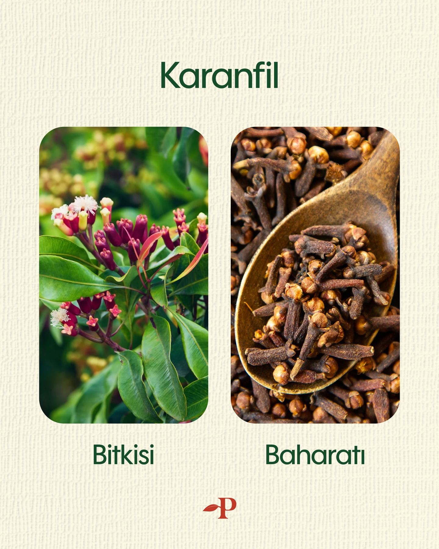 Plentia Superfoods Facebook ad: Biz kullandığımız son ürünü biliyoruz hep.