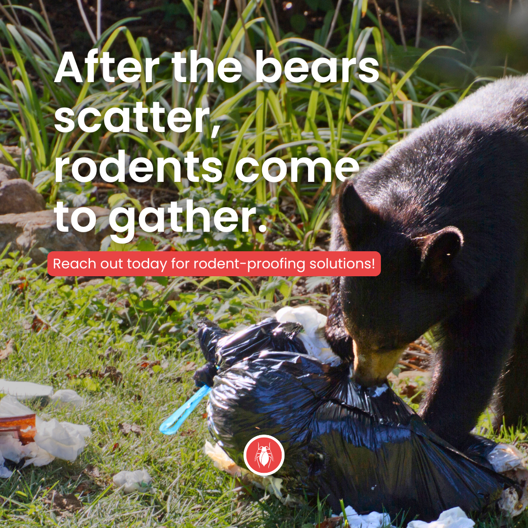 Alaska Pest Management Facebook ad from Oct 17, 2025